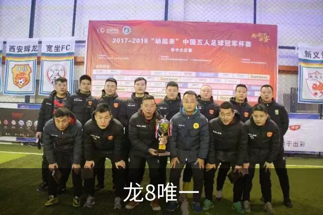 龙8唯一公司简介